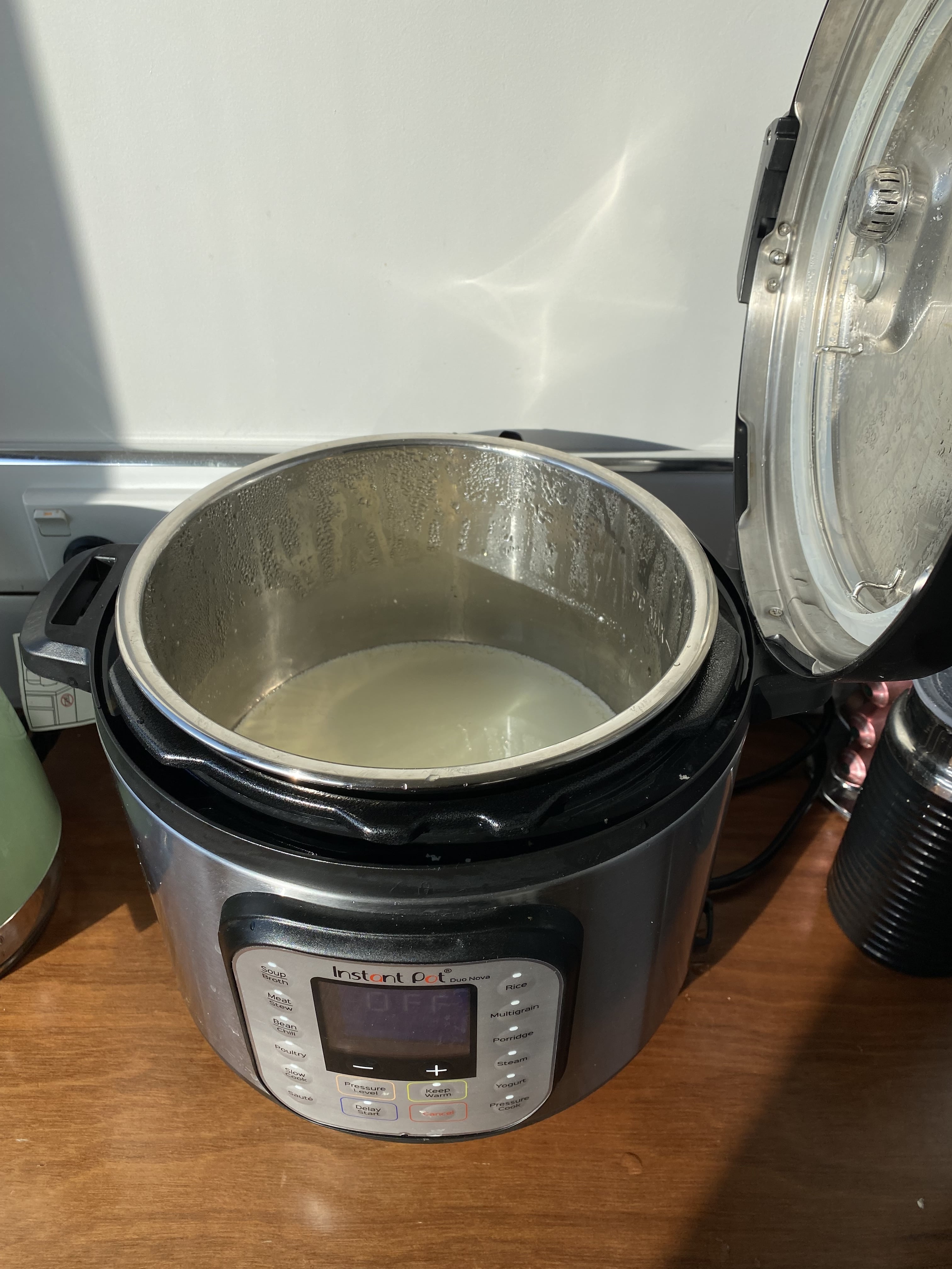 Homemade Yogurt in an Instant Pot, Moorlands Eater