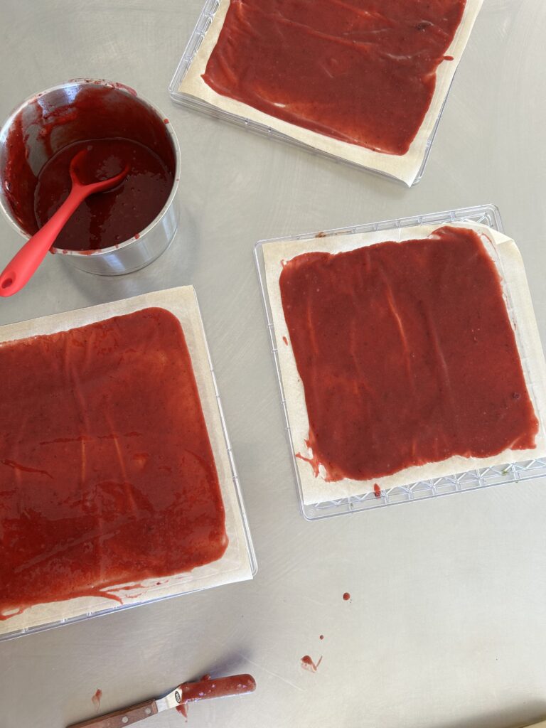 Fruit Leather