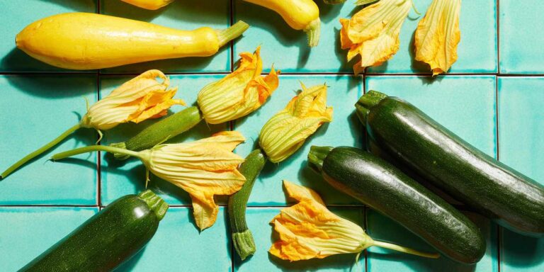 10 Best Zucchini Recipes for you to Make