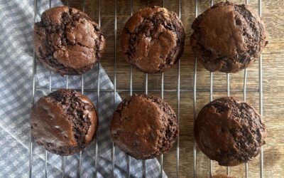 Kate’s Double Chocolate Muffins